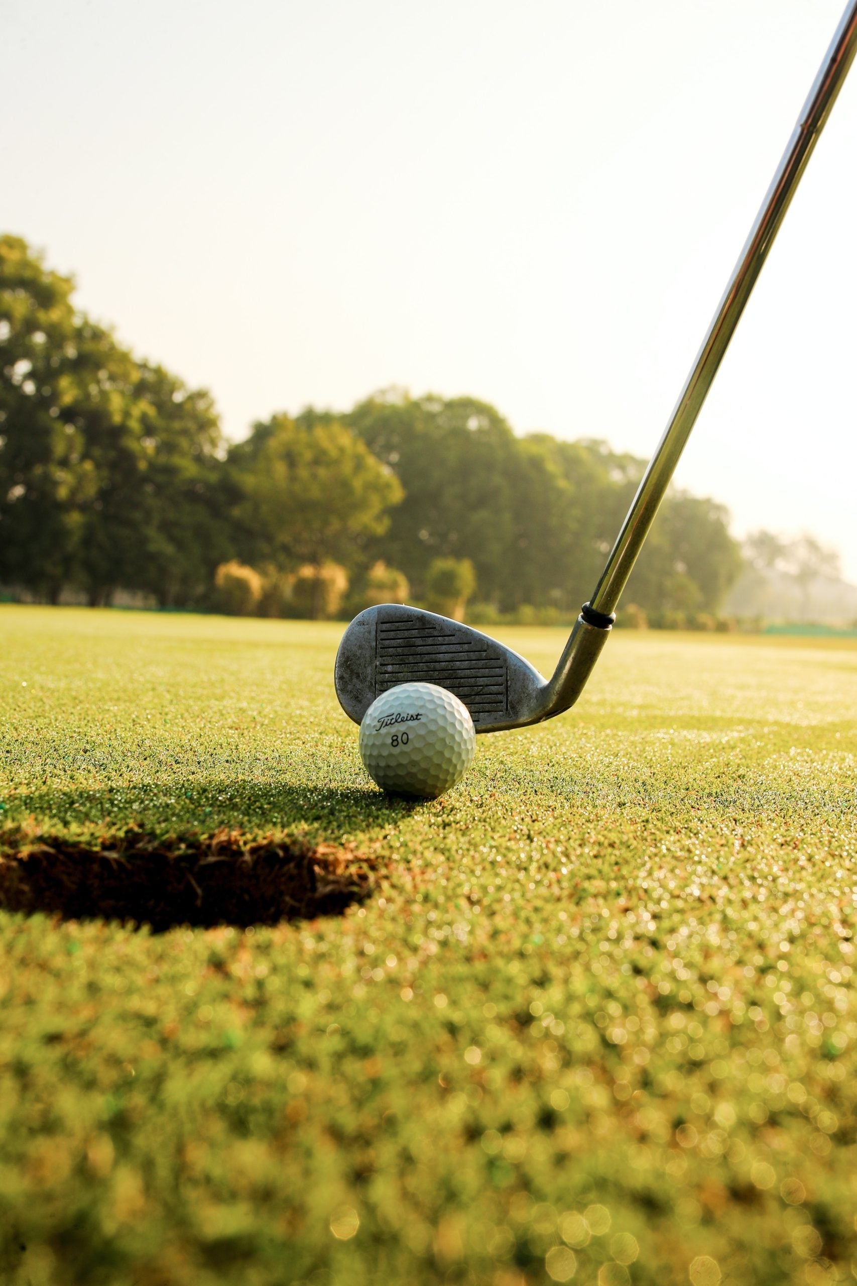 Titleist Ball and Clubs